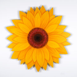 SunFlower2025_MainPicture